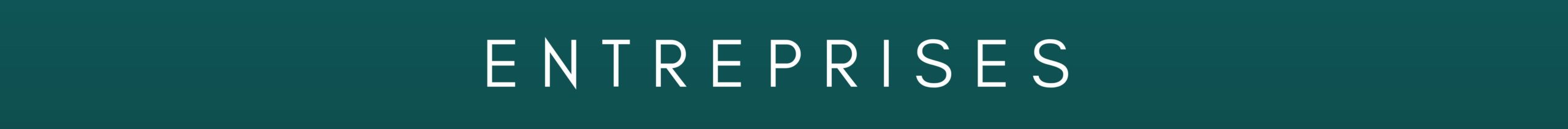 BANDEAU ENTREPRISES